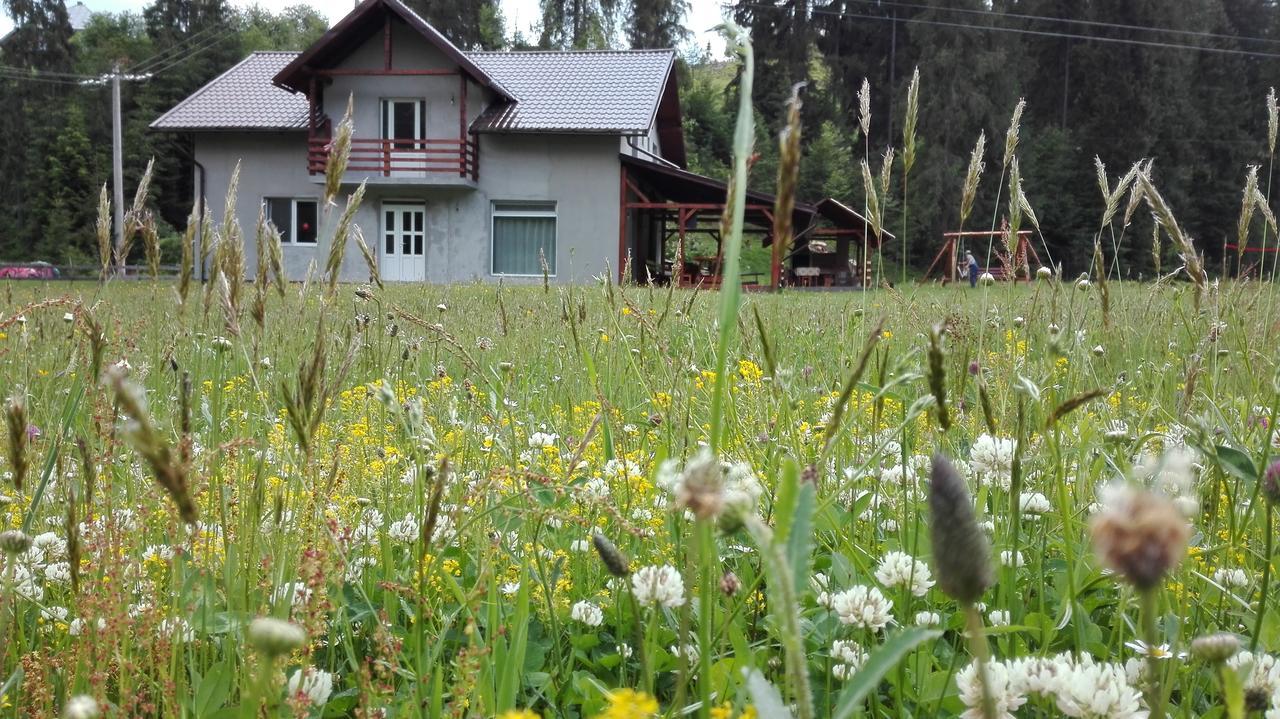 Cabana Georgiana Arieşeni エクステリア 写真